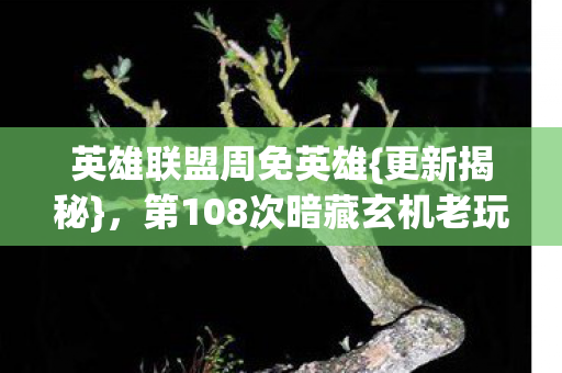 英雄联盟周免英雄{更新揭秘},第108次暗藏玄机老玩家惊 英雄联盟周免英雄{更新揭秘},第108次暗藏玄机老玩家惊