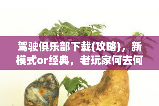 驾驶俱乐部下载{攻略},新模式or经典,老玩家何去何从 驾驶俱乐部下载{攻略},新模式or经典,老玩家何去何从