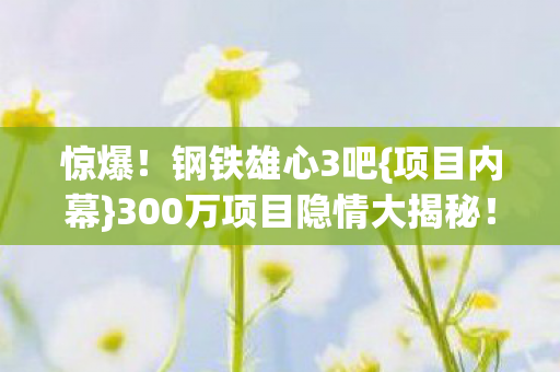 惊爆！钢铁雄心3吧{项目内幕}300万项目隐情大揭秘！
