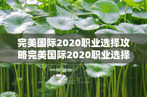 完美国际2020职业选择攻略完美国际2020职业选择图片