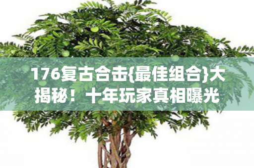 十年玩家真相曝光图片