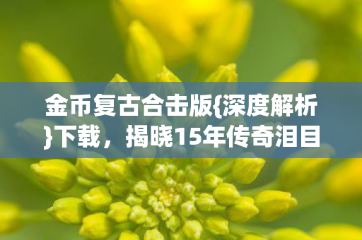 揭晓15年传奇泪目真相图片