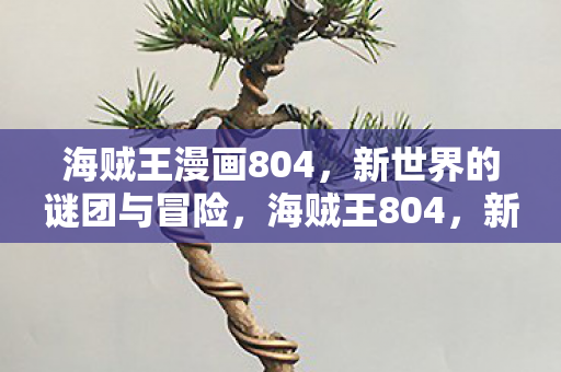 新世界谜团与冒险的展开图片