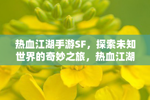 热血江湖手游SF,探索未知世界的奇妙之旅,热血江湖手游SF,探索未知世界的奇妙之旅 热血江湖手游SF,探索未知世界的奇妙之旅,热血江湖手游SF,探索未知世界的奇妙之旅