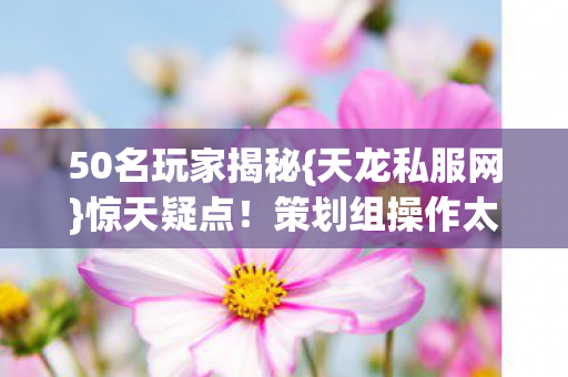 策划组操作太惊人图片