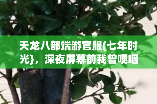 深夜屏幕前我曾哽咽图片