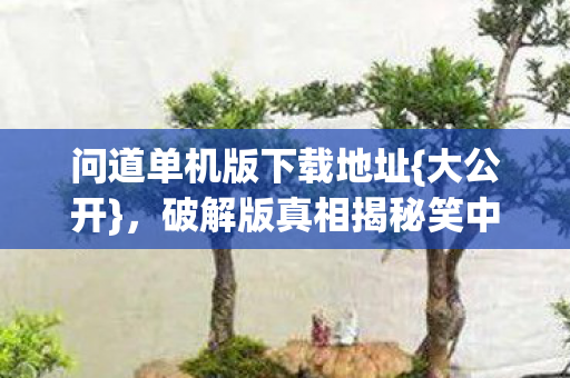 破解版真相揭秘笑中带泪图片