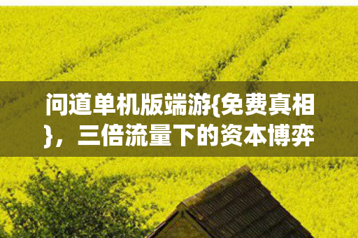 三倍流量下的资本博弈图片