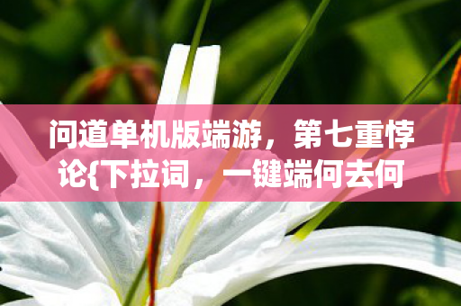 问道单机版端游图片