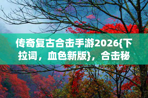 传奇复古合击手游2026图片