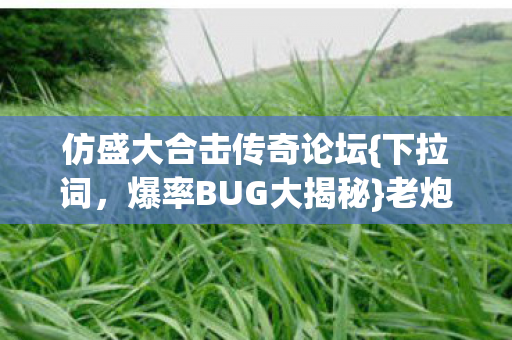 仿盛大合击传奇论坛图片