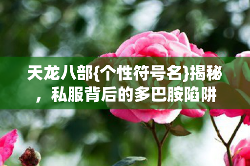 私服背后的多巴胺陷阱图片