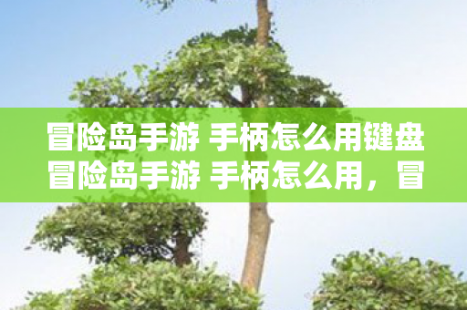 冒险岛手游 手柄怎么用键盘冒险岛手游 手柄怎么用,冒险岛手游,手柄操作指南 冒险岛手游 手柄怎么用键盘冒险岛手游 手柄怎么用,冒险岛手游,手柄操作指南