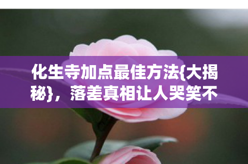 化生寺加点最佳方法{大揭秘}，落差真相让人哭笑不得