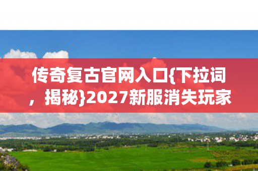 2027新服消失玩家名单之谜图片