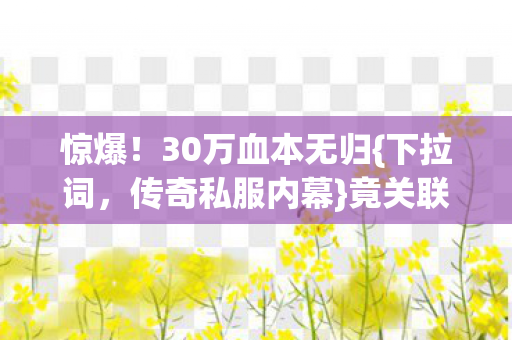 30万血本无归图片