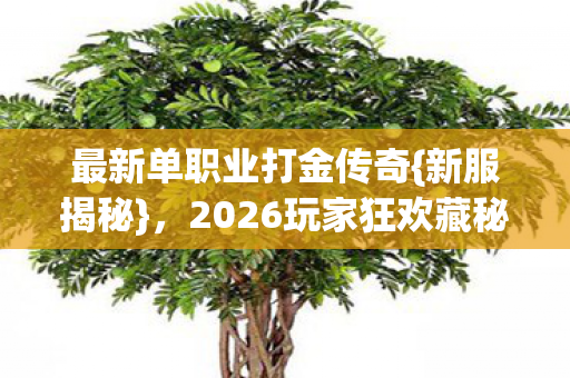 2026玩家狂欢藏秘密图片