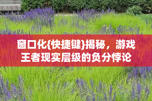 窗口化{快捷键}揭秘,游戏王者现实层级的负分悖论 窗口化{快捷键}揭秘,游戏王者现实层级的负分悖论
