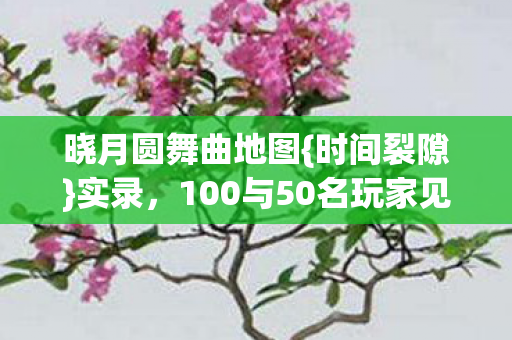 晓月圆舞曲地图{时间裂隙}实录，100与50名玩家见证！