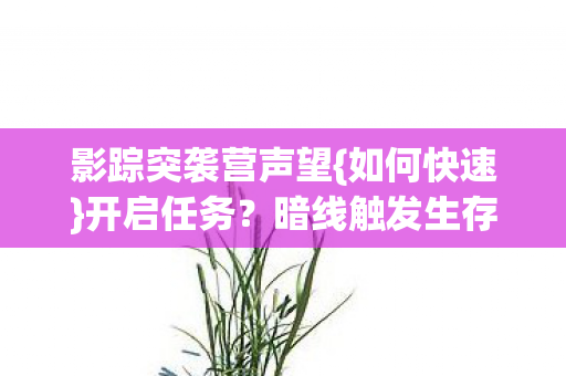 影踪突袭营声望{如何快速}开启任务?暗线触发生存法则 影踪突袭营声望{如何快速}开启任务?暗线触发生存法则