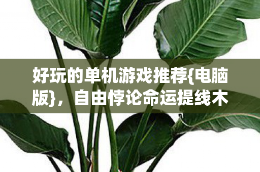 好玩的单机游戏推荐{电脑版},自由悖论命运提线木偶之旅 好玩的单机游戏推荐{电脑版},自由悖论命运提线木偶之旅
