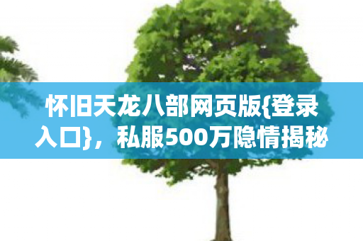 私服500万隐情揭秘图片