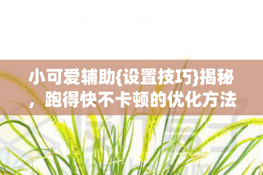 小可爱辅助{设置技巧}揭秘,跑得快不卡顿的优化方法 小可爱辅助{设置技巧}揭秘,跑得快不卡顿的优化方法