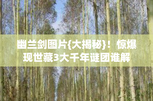 幽兰剑图片{大揭秘}!惊爆现世藏3大千年谜团谁解 幽兰剑图片{大揭秘}!惊爆现世藏3大千年谜团谁解