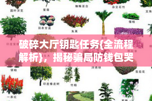 破碎大厅钥匙任务{全流程解析},揭秘骗局防钱包哭晕 破碎大厅钥匙任务{全流程解析},揭秘骗局防钱包哭晕