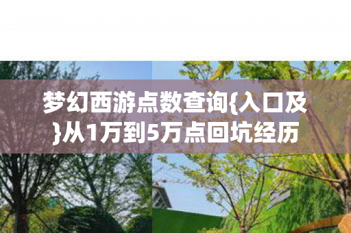 梦幻西游点数查询{入口及}从1万到5万点回坑经历 梦幻西游点数查询{入口及}从1万到5万点回坑经历