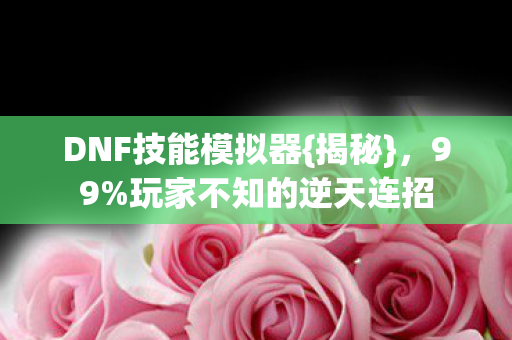 DNF技能模拟器{揭秘},99%玩家不知的逆天连招 DNF技能模拟器{揭秘},99%玩家不知的逆天连招