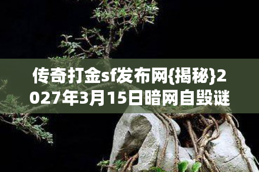 2027年3月15日暗网自毁谜局图片