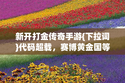 赛博黄金国等你探秘图片