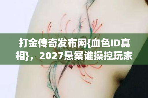 2027悬案谁操控玩家图片