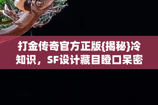 SF设计藏目瞪口呆密码图片