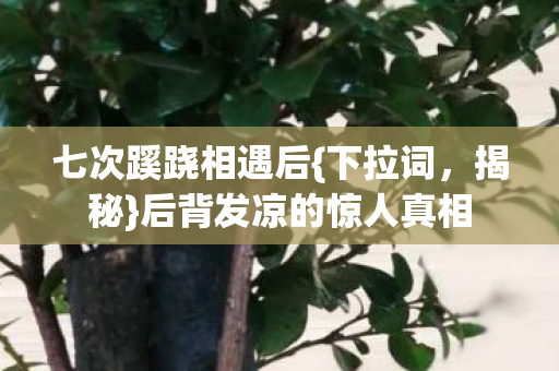 七次蹊跷相遇后{下拉词,揭秘}后背发凉的惊人真相 七次蹊跷相遇后{下拉词,揭秘}后背发凉的惊人真相