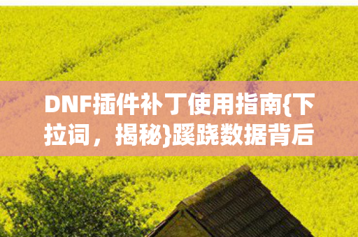 DNF插件补丁使用指南{下拉词,揭秘}蹊跷数据背后的真相 DNF插件补丁使用指南{下拉词,揭秘}蹊跷数据背后的真相