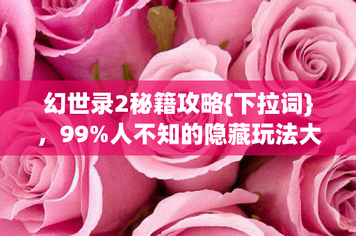 幻世录2秘籍攻略{下拉词},99%人不知的隐藏玩法大揭秘! 幻世录2秘籍攻略{下拉词},99%人不知的隐藏玩法大揭秘!