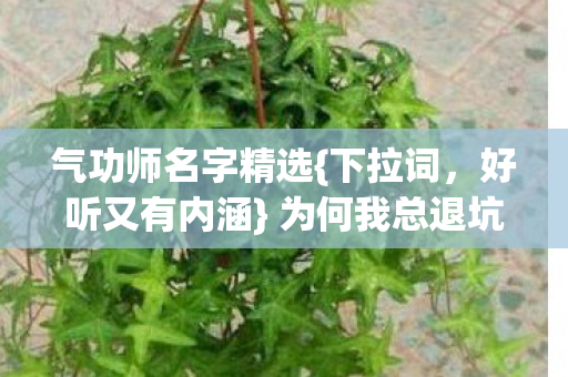 气功师名字精选{下拉词,好听又有内涵} 为何我总退坑? 气功师名字精选{下拉词,好听又有内涵} 为何我总退坑?