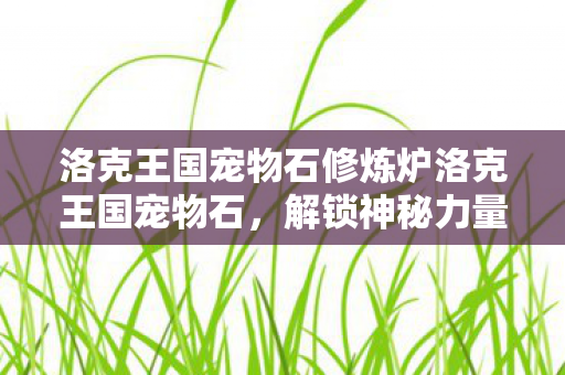 洛克王国宠物石修炼炉洛克王国宠物石图片