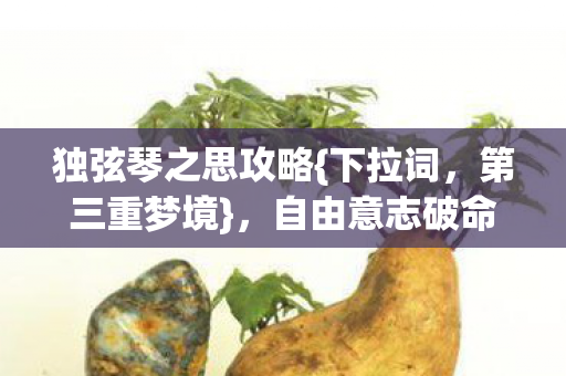 独弦琴之思攻略{下拉词,第三重梦境},自由意志破命运牢笼 独弦琴之思攻略{下拉词,第三重梦境},自由意志破命运牢笼