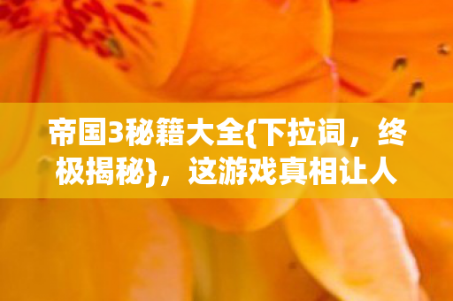 帝国3秘籍大全{下拉词,终极揭秘},这游戏真相让人笑中带泪 帝国3秘籍大全{下拉词,终极揭秘},这游戏真相让人笑中带泪