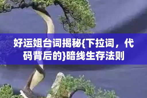 好运姐台词揭秘{下拉词，代码背后的}暗线生存法则