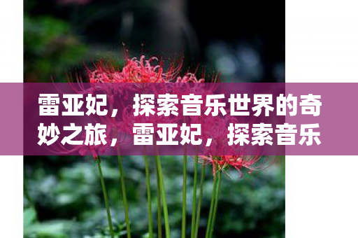 探索音乐世界的奇妙之旅图片