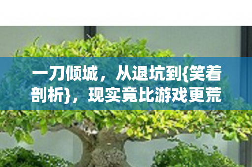 一刀倾城,从退坑到{笑着剖析},现实竟比游戏更荒凉 一刀倾城,从退坑到{笑着剖析},现实竟比游戏更荒凉