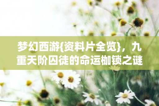 梦幻西游{资料片全览},九重天阶囚徒的命运枷锁之谜 梦幻西游{资料片全览},九重天阶囚徒的命运枷锁之谜
