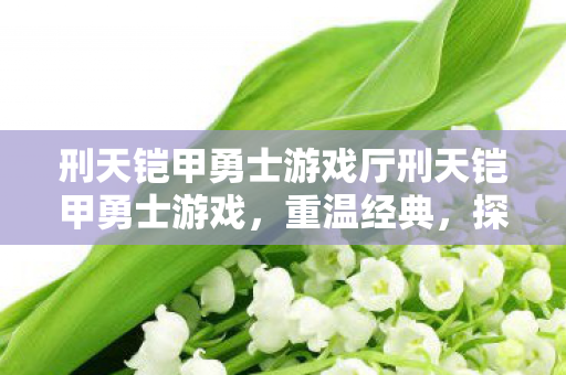 刑天铠甲勇士游戏厅刑天铠甲勇士游戏图片