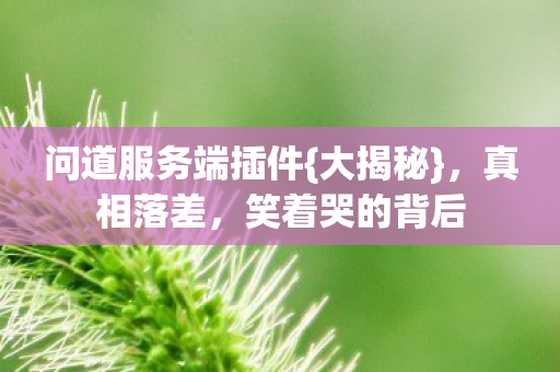 问道服务端插件图片