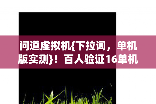 百人验证16单机免虚拟机图片