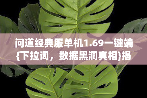 问道经典服单机1图片